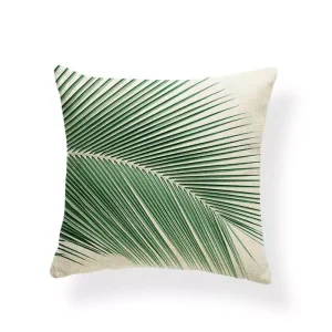 Collection palmerais